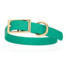 Dog Pet Collar with Brass Hardware Size XL W 1” L 22” - 25” Teal