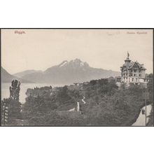 Pension Alpenblick, Weggis, 1906 - Voege AK