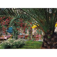 Villa Marina Diano Ardoino Restaurant Italian Italy Garden Area Postcard
