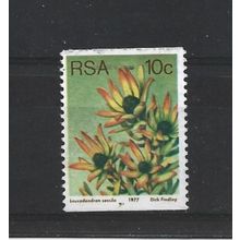 SouthAfrica.SG434 10c Leucadendron Sessile.Fine Used.Sep25c