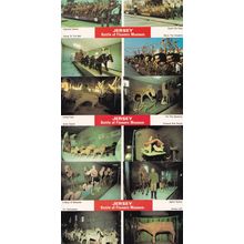 Jersey Battle Of The Flowers Museum 3x Postcard s