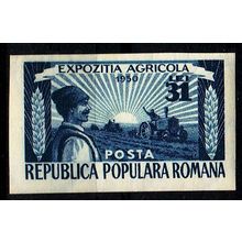 RUMÄNIEN ROMANIA [1951] MiNr 1253 B ( */mh )