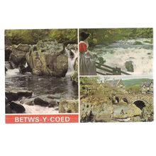 multiview, BETWS-Y-COED, WALES unused vintage postcard by E T W Dennis =