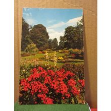 BRESSINGHAM GARDENS, DISS. NORFOLK. unused postcard by Jarrold =