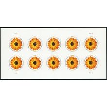 African Daisy International Mail Sheet of 10 Stamps