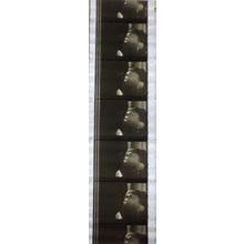 NOTORIOUS. Pk MTP - b028B. 1 STRIP OF 5 - 35MM FILMCELLS
