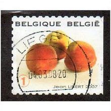 BEL 2007 (52c)(S/A) 'FRUIT- PEACHES' FINE USED (EBID10414)