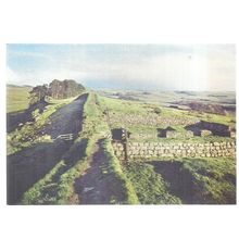 roman Wall at Housesteads Mile Castle , Northumberland.. postcard arthur dixon #