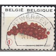 Belgique 2007 Michel 3740 O Cote (2008) 1.70 € Groseilles Cachet rond