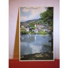 THE BAYS, CHEDDAR, SOMERSET unused vintage postcard by E T W Dennis c.1960 #