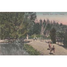 Pretoria Zoo Round The Bond Ostrich Deer South African Antique Postcard