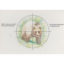 Pyrenees Alpes Alps Bear Shooting Endangered Species French Postcard