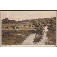 New Forest Ponies, Hampshire, c.1940 - Sweetman Postcard