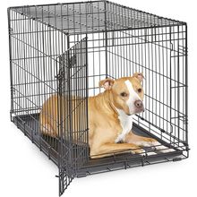 Midwest Homes for Pets Newly Enhanced Single & Double Door Icrate Dog Crate, Inc