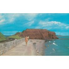 Langstone Rock Dawlish Devon 1970s Postcard