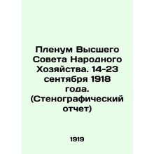 Plenum of the Supreme Council of the Peoples Economy. September 14-23, 1918. (Ve