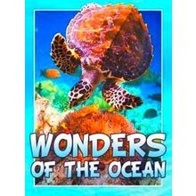 Wonders Of The Ocean