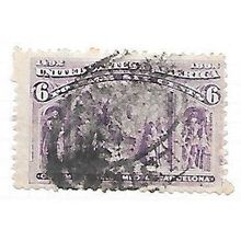 USA 1893 COLUMBIAN EXPO 6c CUSTOMER REQUEST NJA
