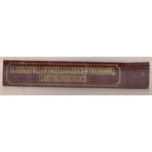 LLANFAIRPWLLGWYNGYLLGOGERYCHWYRNDROBWLLL  LANTYSILIOGOGOGOCH Leather Bookmark 178