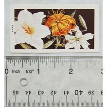 Jacobs Picture cards from History 9, Carreras Flowers No. 50 Lilies