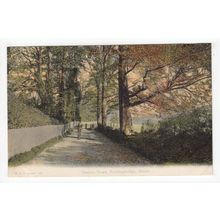 Station Road Fordingbridge Postcard Hampshire FGO Stuart 430