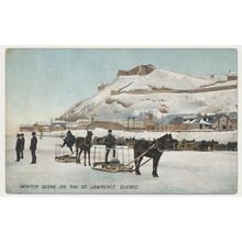 Canada Winter scene on The St Lawrence Quebec blank 1910s Walsh 203025 RPPC