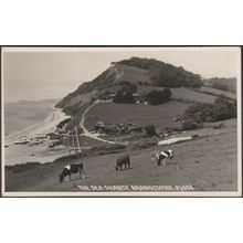 The Sea Shanty, Branscombe, Devon, c.1950s - Chapman RP Postcard