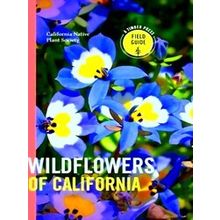 Wildflowers Of California