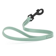Dog Pet Waterproof Leash - W3/4" x L2' - Sage Green