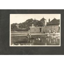 Postcard West Sussex Rottingdean Pond and Church