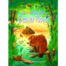 What Goes On Inside A Beaver Pond