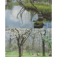 Mughal & Floating Gardens Srinagar Kashmir 2x Postcard s