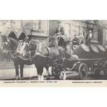 Birmingham Transport Brewers Dray Aston 1951 Transport Postcard