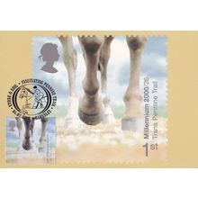 Trans Pennine Trail Barnsley Horse Yorkshire FDC Postcard