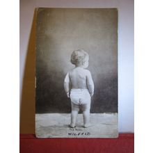 'WILFRED' THE BOSS used antique postcard by Dainty series 1906 pm #