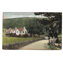 Postcard Bermuda On the road to Devil's Hole published by Thompson unposted
