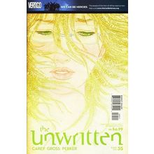 Unwritten (Vol 1) # 035 NM MODERN AGE COMICS