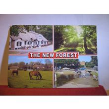THE NEW FOREST, HAMPSHIRE multiview. used postcard by J. Salmon 1991? pm #