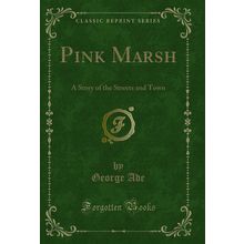 Pink Marsh: A Story of the Streets and Town (Classic Reprint)