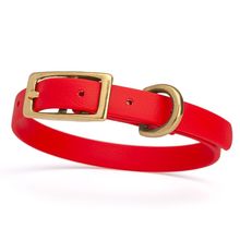 Dog Pet Collar with Brass Hardware Size XS W 1/2” L 9” - 12” Cherry Red