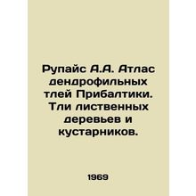 Rupace A.A. Atlas of Baltic dendrophilic aphids. Aphids of deciduous trees and