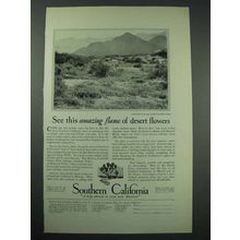 1928 Southern California Tourism Ad - Desert Flowers