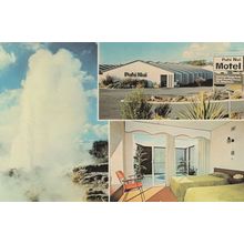 Puhi Nui Motel Hotel Rotorua New Zealand Postcard