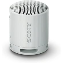 Sony SRS-XB100 Wireless Bluetooth Portable Lightweight Super-Compact Travel Spea