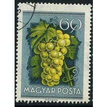 1954 Michel 1388 - cancelled