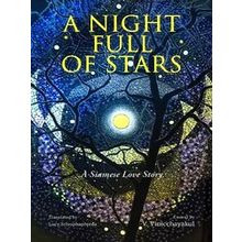A Night Full Of Stars - V. Vinicchayakul
