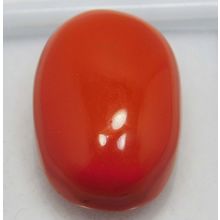 100% Natural 15.50 Ct Coral Oval Cut Rare Italian Loose Gemstone