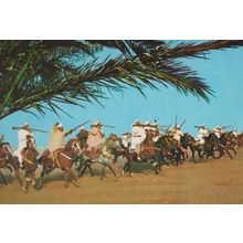Marruecos Tipico Moroccan Morocco Rifle Display Mounted Horse Parade Postcard