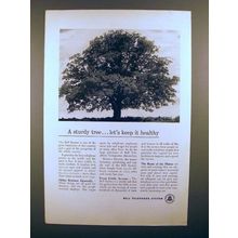 1950 Bell Telephone Ad - A Sturdy Tree, Keep it Healthy