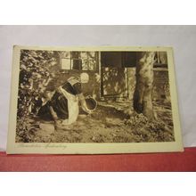 BUNSCHOTEN, SPAKENBURG, NETHERLANDS unused vintage postcard /